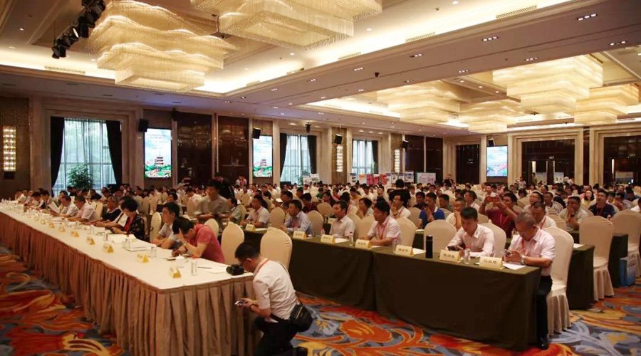 첩ɷӦϯ2018꺣ϿԤɫ߷̳