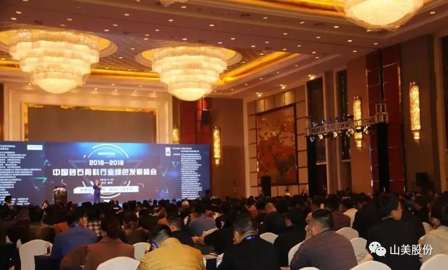 ۽첩ɷݳϯ2018-2019йɰʯҵɫչ