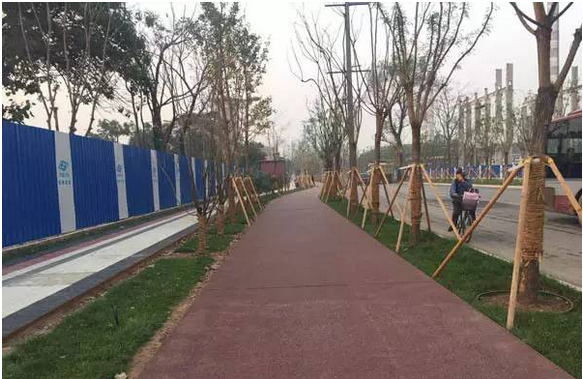 ϲѶ첩ɷٻ2019ȱѧȽ