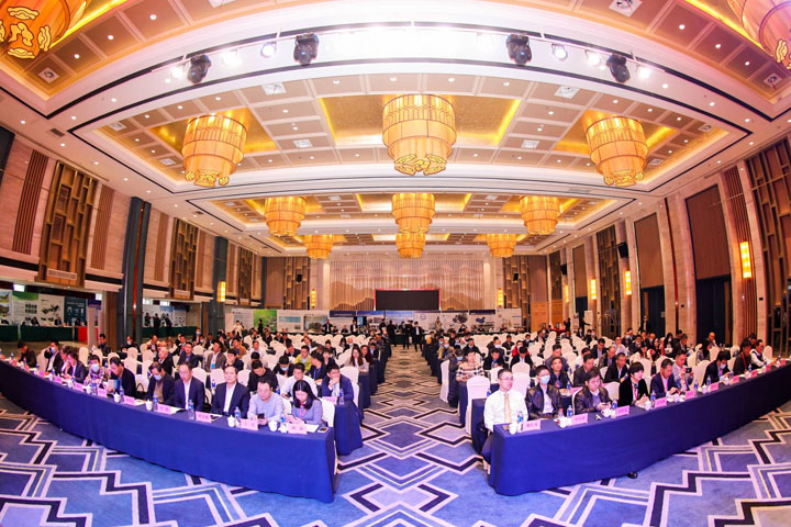 Ϻ첩ɷݳнĺϳɳ̷ɫѭĿϲӭ2021ȫԴø߲̳λιۿ